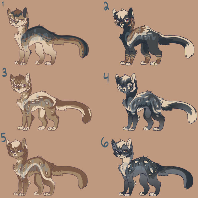 Example of adoptables